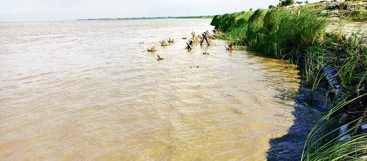 Gopalganj News  : गंडक नदी का जल स्तर बढ़ा रहा है दियारे के लोगों की दिल की धड़कनें