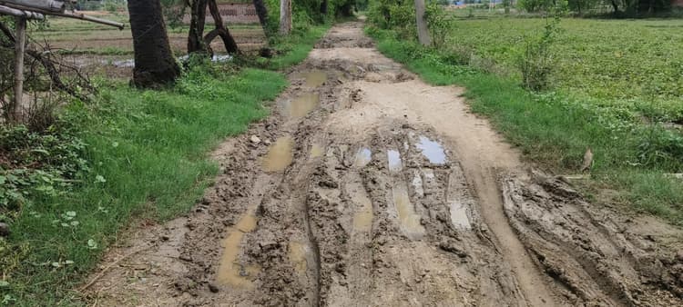 बारहमासी सड़क के लिए तरस रहे मंझार गांव के लोग, आवागमन में रही परेशानी