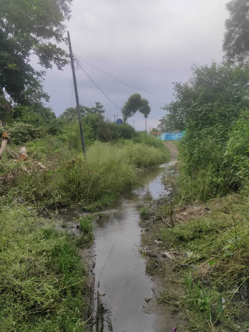 टी-टू टाइप गुलजारबाग सड़क पर कीचड़ व झाड़ियों से आवागमन बाधित