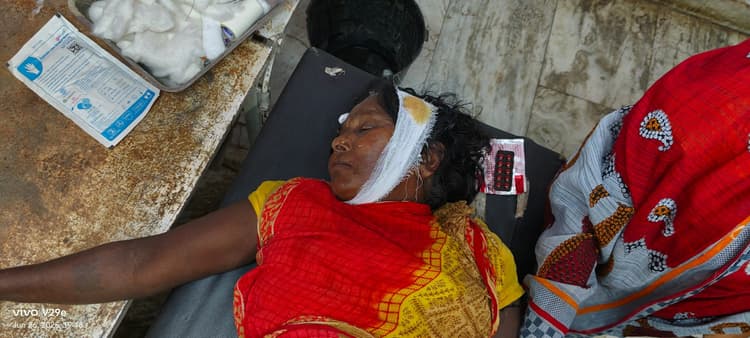 मवेशी का चारा काटने के दौरान दो पक्षों में मारपीट, दो महिला गंभीर