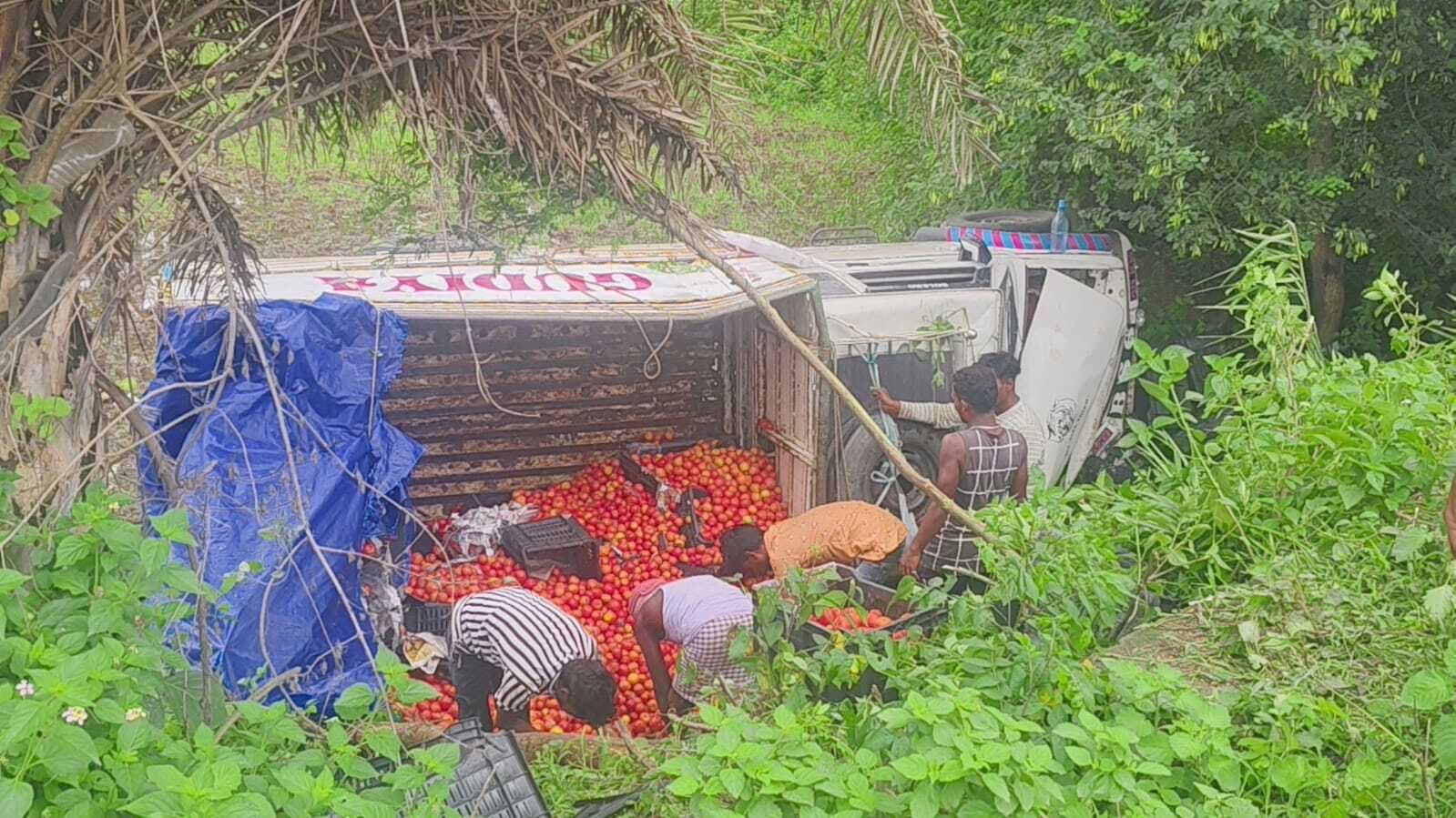 टमाटर लदा पिकअप वैन पलटा, बाल-बाल बचे चालक व खलासी