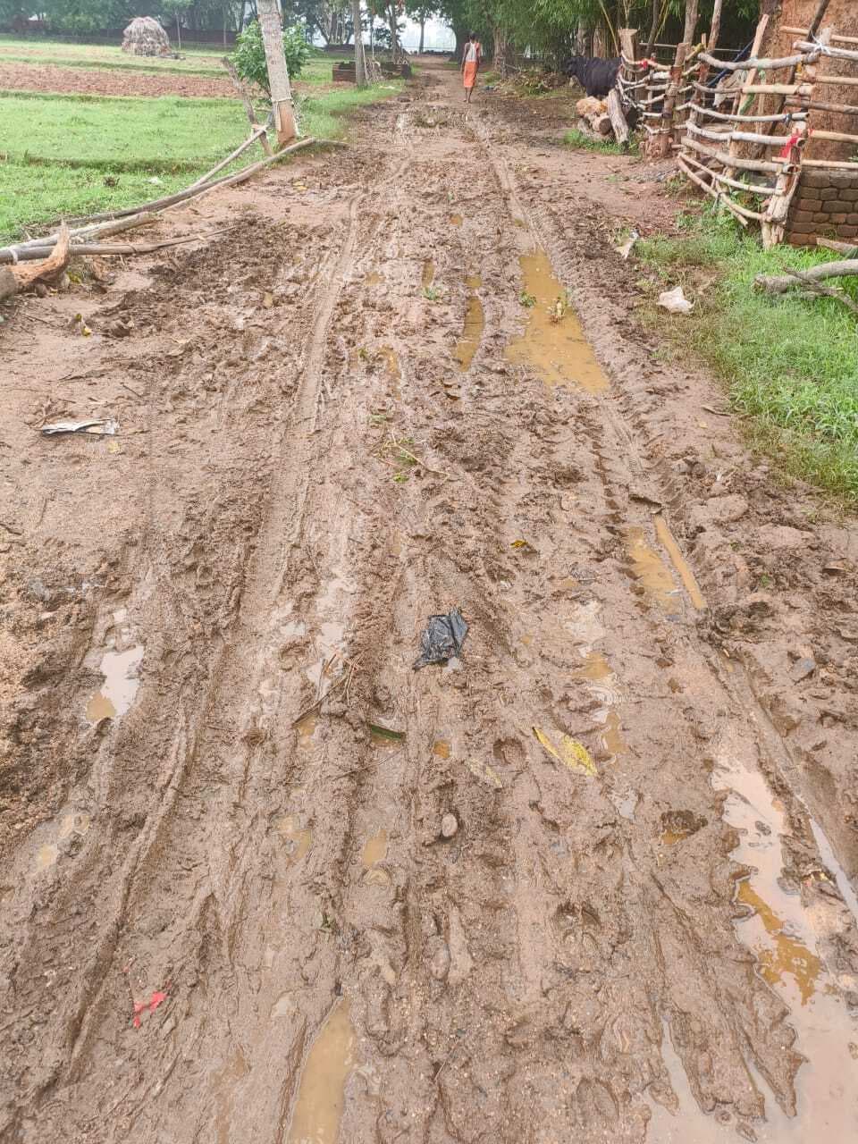 Giridih News: बारिश में टापू बन जाता है नारायणसिंहडीह