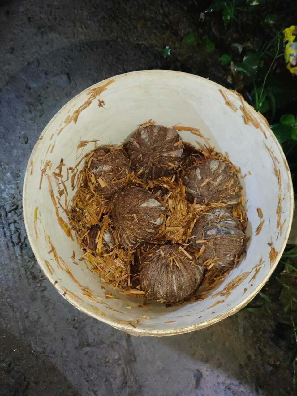 बम बनाते चार लोगों को पुलिस ने किया गिरफ्तार