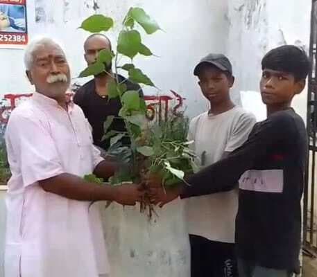 पर्यावरण संरक्षण के लिए पौधरोपण जरूरी