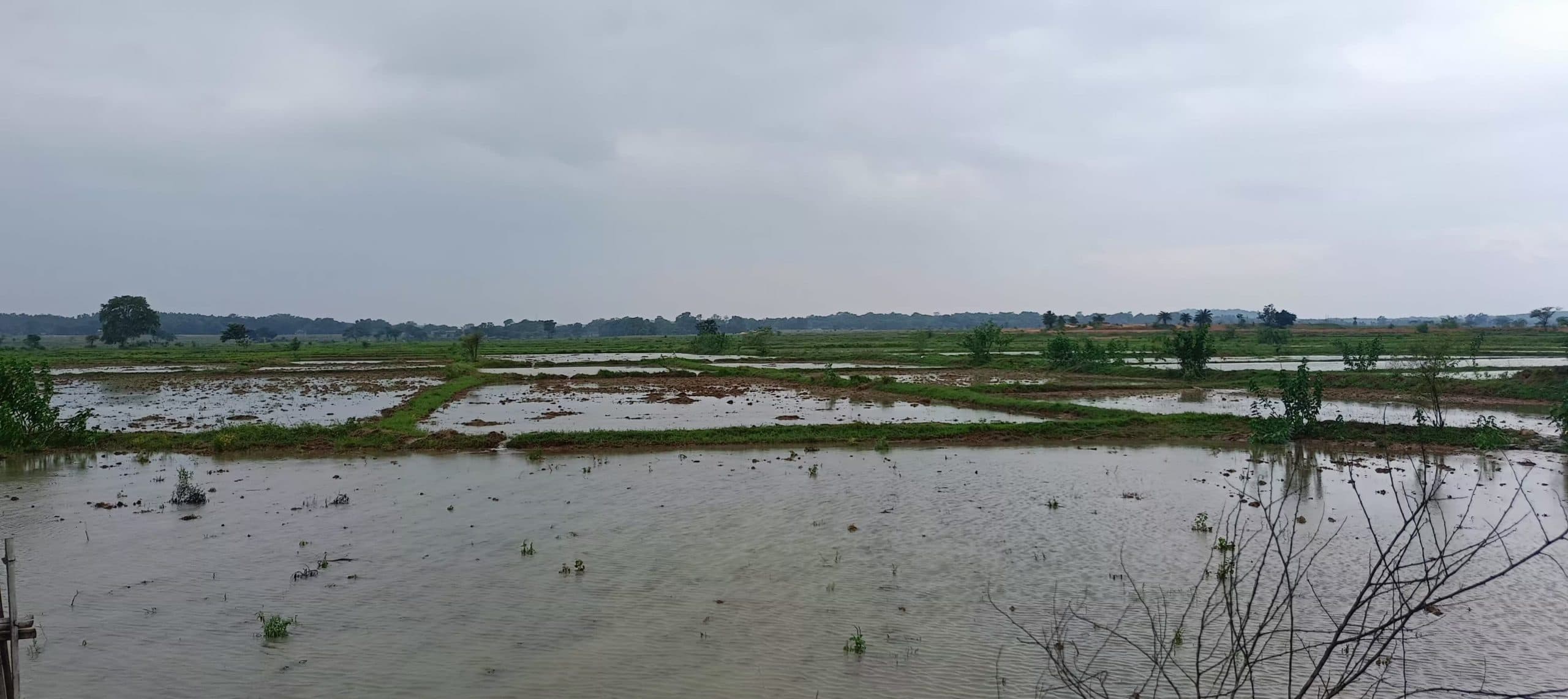 Seraikela Kharsawan News : लगातार बारिश से जनजीवन बेहाल, खरकई व संजय नदी उफान पर