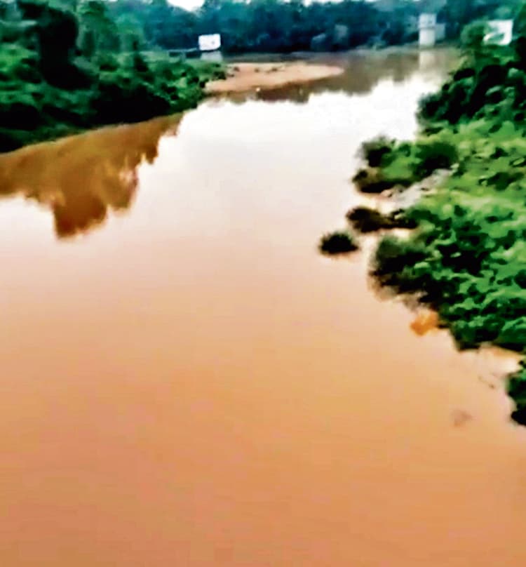 Chaibasa News : वैतरणी नदी बनी कचरे का डंपिंग ज़ोन, दूषित जल से बढ़ा संकट