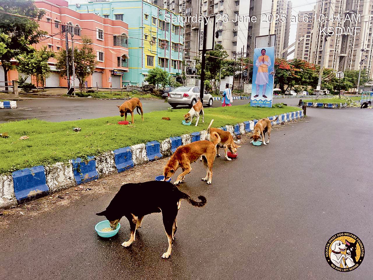 राजारहाट में बन रहा आवारा कुत्तों के लिए अस्पताल