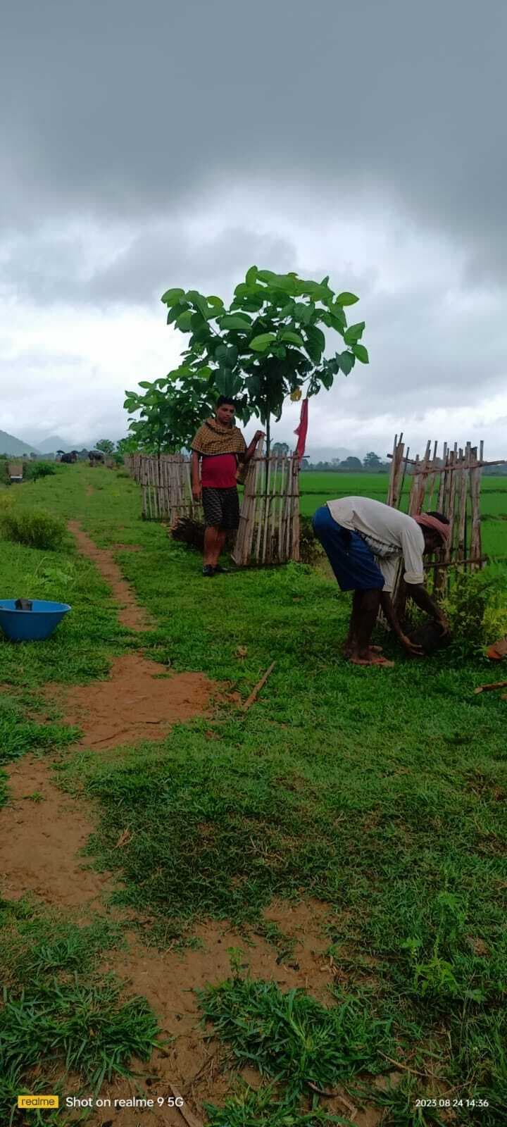 प्रकृति प्रेमी रंजीत ने वर्ष 2022 से अब तक लगाये 5000 पौधे