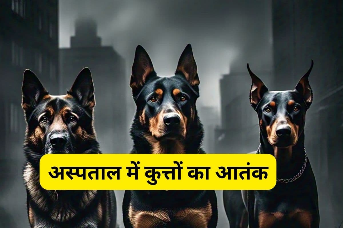 Shocking News : लड़की ने शौचालय में बच्चे को जन्म दिया, नवजात को मुंह में दबाकर ले गया कुत्ता