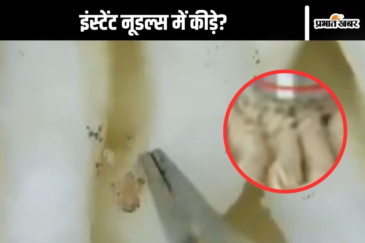 Fact Check : इंस्टेंट नूडल्स में कीड़े, क्या आपने भी देखा वीडियो? जान लें इसकी सच्चाई