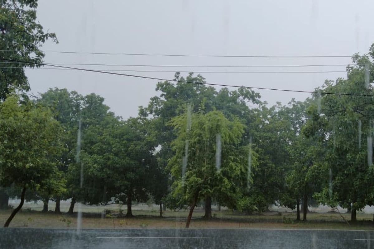 Jharkhand Weather: झारखंड में 10 जून से झमाझम बारिश, IMD का अलर्ट, कब होगी मानसून की एंट्री?