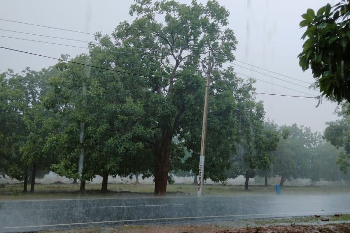 Jharkhand Weather: झारखंड में आज से बदलेगा मौसम, 14 जून तक झमाझम बारिश, वज्रपात की चेतावनी