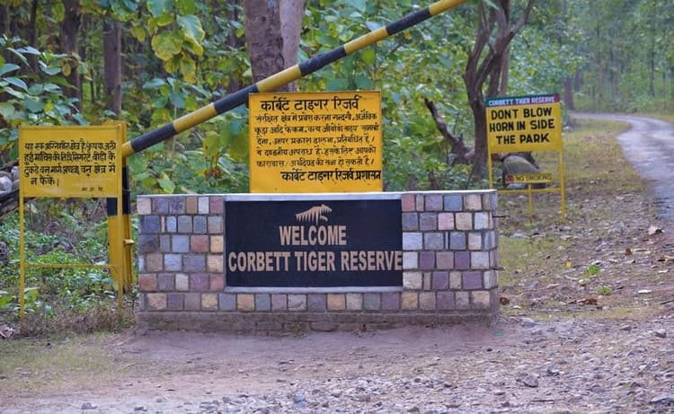 Oldest National Park in India : भारत के सबसे पुराने नेशनल पार्क, जहां एक बार सफारी तो बनती है