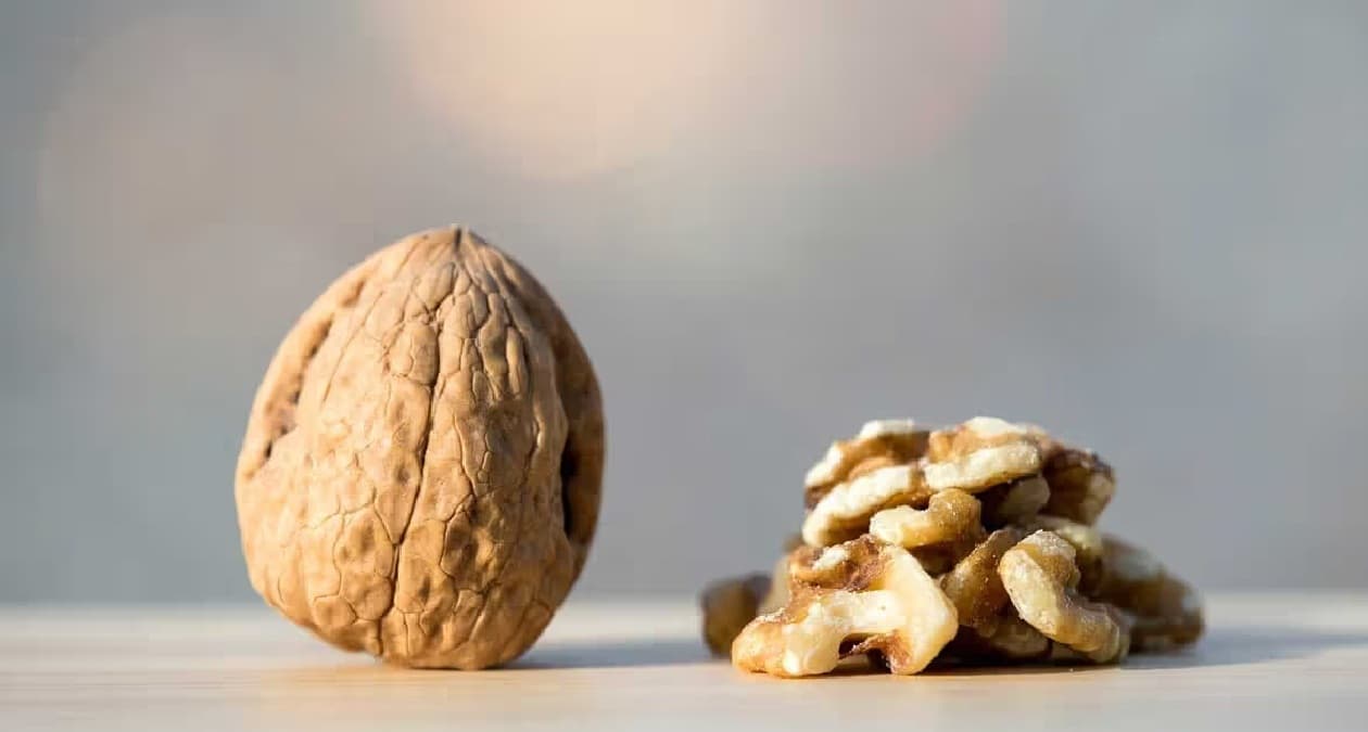 Health Tips: पौष्टिक तत्वों से भरपूर होता है अखरोट, इसके लाभ जान चौंक जायेंगे आप