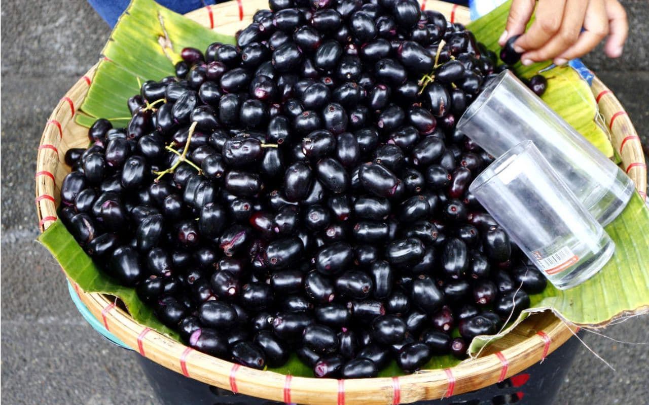 Bihar News: पटना के बाजार में छाया जामुन का स्वाद, यूपी-बिहार के कई जिलों से हो रही आवक