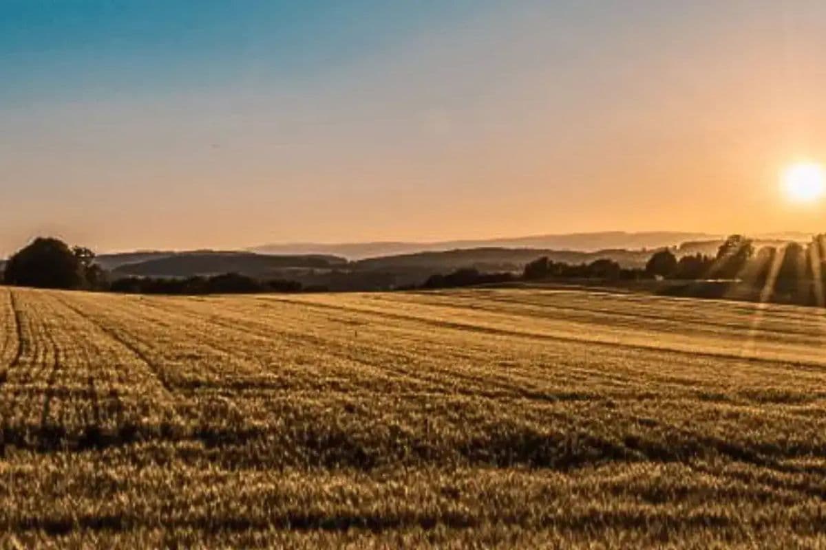 सांकेतिक तस्वीर