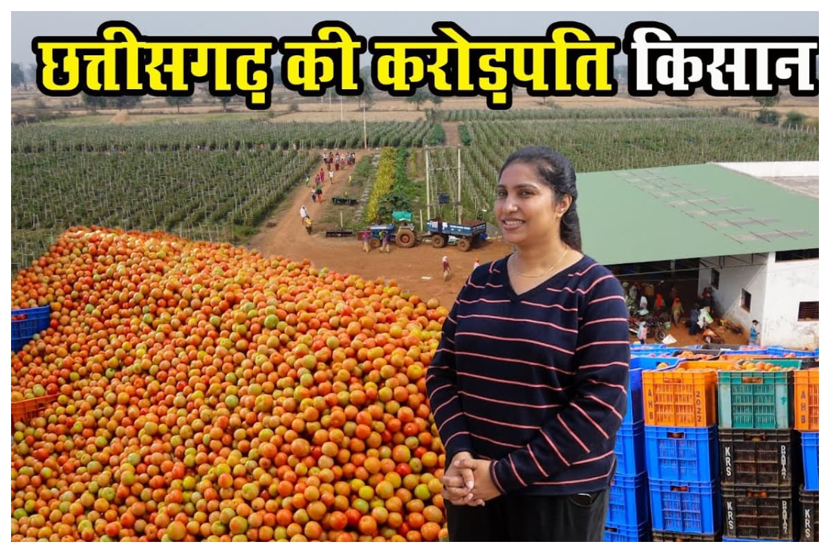 कॉर्पोरेट को कहा बाय-बाय, टमाटर बेचकर कमा रही 1.5 करोड़