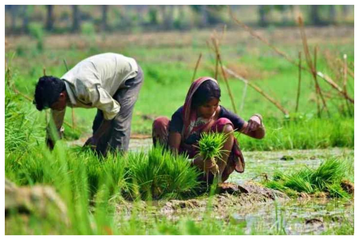 खत्म हो रही है डेडलाइन, जल्दी करें प्रधानमंत्री फसल बीमा योजना के लिए अप्लाई
