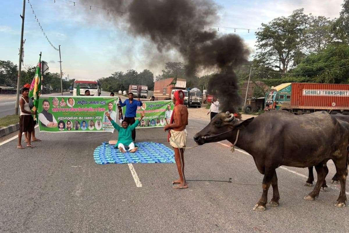 Bihar Bandh: बीच सड़क पर चादर बिछाकर सोए RJD नेता, भैंस बांधकर किया प्रदर्शन