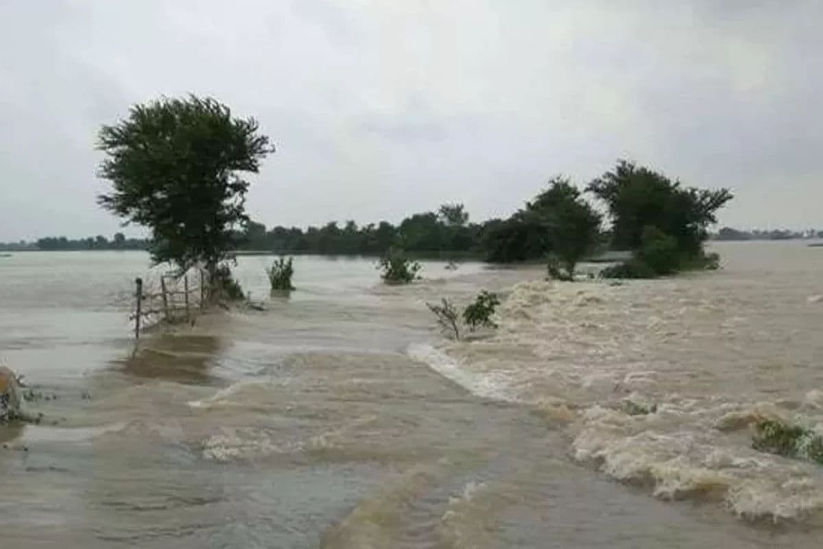 Bihar Flood News: बिहार में गंगा, बूढ़ी गंडक और पुनपुन उफान पर, लाल निशान पार, पटना में 78 स्कूल बंद