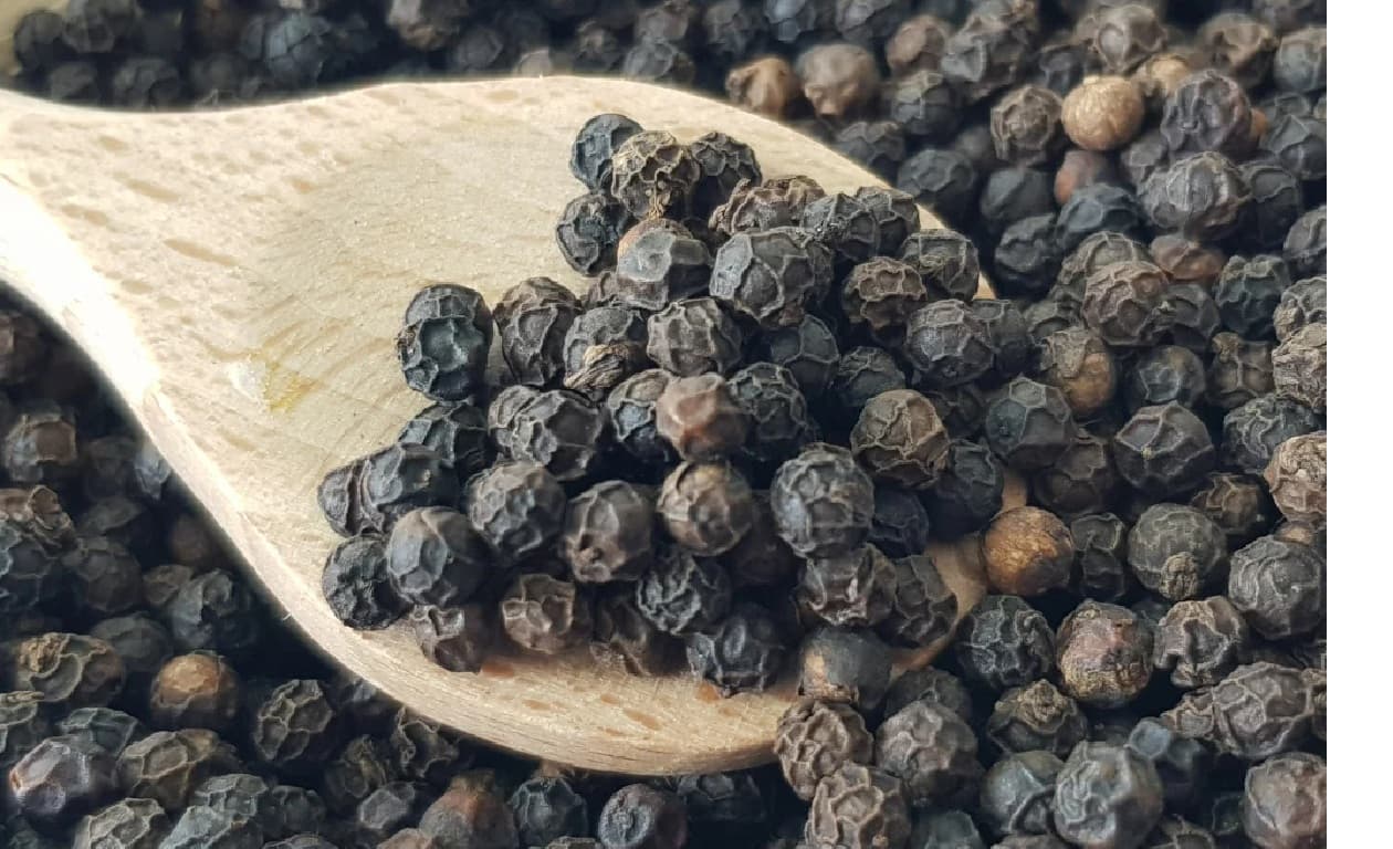 Health Tips: Benefits of Black Pepper: जानिए, मसालों के राजा का सेवन हमारे लिए कितना लाभकारी है