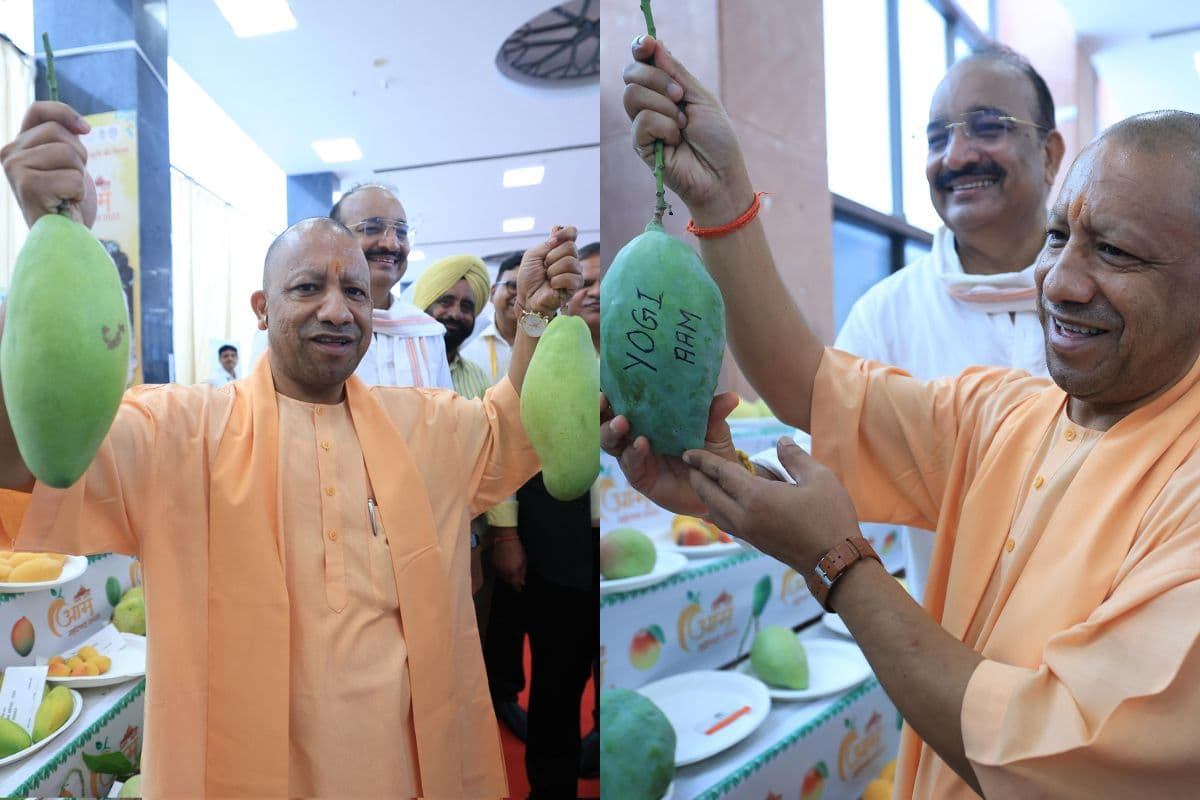 'योगी आम' ने खींचा योगी आदित्यनाथ का ध्यान, देखकर मुस्कुराए सीएम