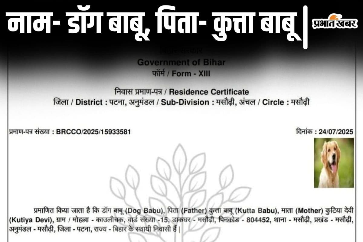 पटना में 'डॉग बाबू' का आवास प्रमाणपत्र हो गया जारी, सर्टिफिकेट पर लगी है कुत्ते की फोटो