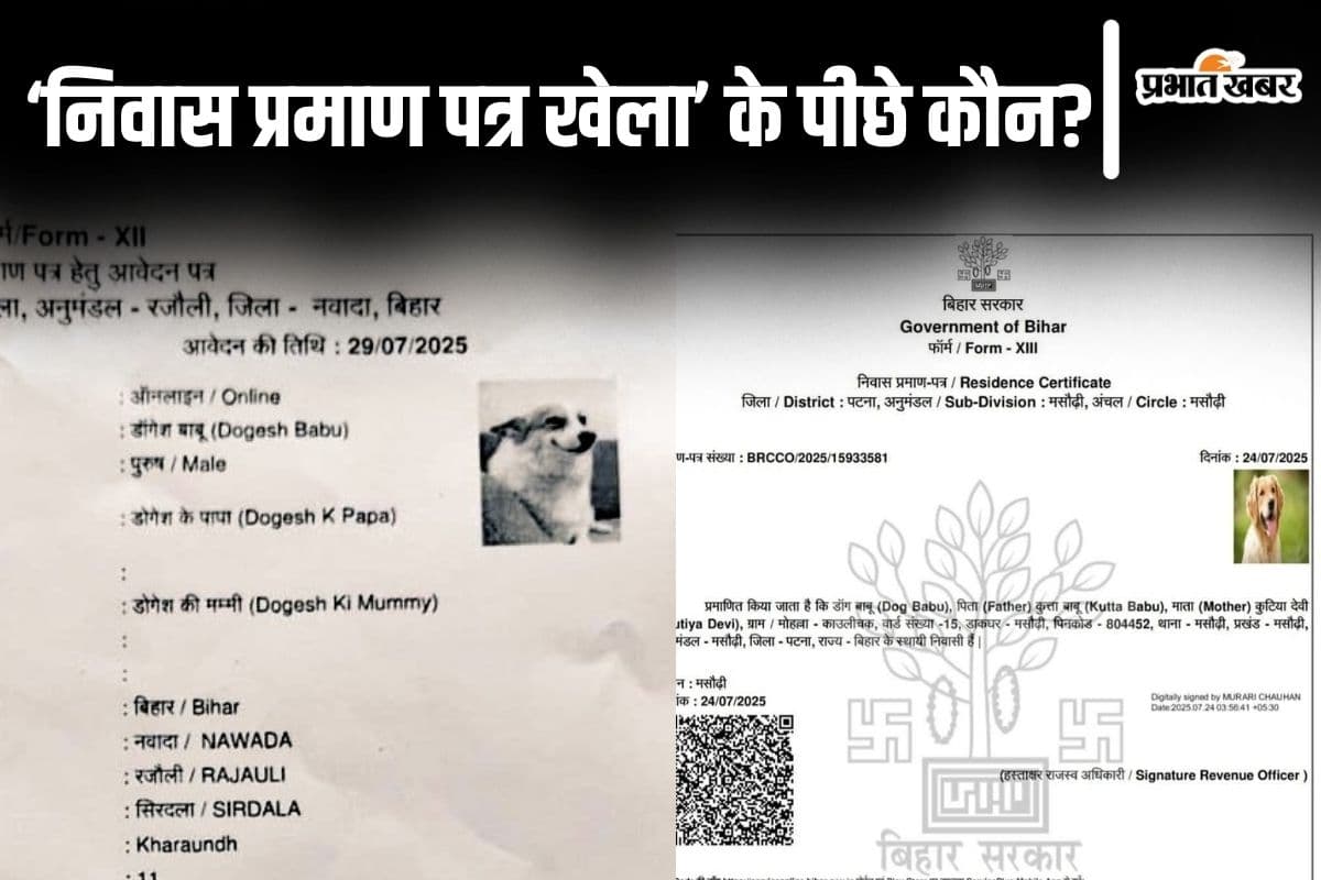 बिहार में कुत्ते और ट्रैक्टर का निवास प्रमाण पत्र बनवाने की साजिश के पीछे कौन? ताबड़तोड़ गिरफ्तारी हो गयी शुरू