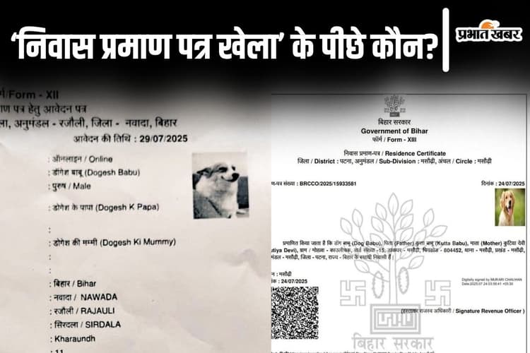 बिहार में कुत्ते और ट्रैक्टर का निवास प्रमाण पत्र बनवाने की साजिश के पीछे कौन? ताबड़तोड़ गिरफ्तारी हो गयी शुरू