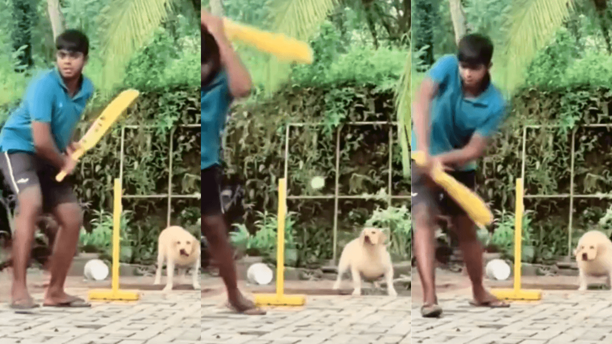 Viral Video: कुत्ते ने की जबरदस्त विकेट कीपिंग, लोगों ने कहा- धोनी को दे रहा टक्कर! वीडियो वायरल