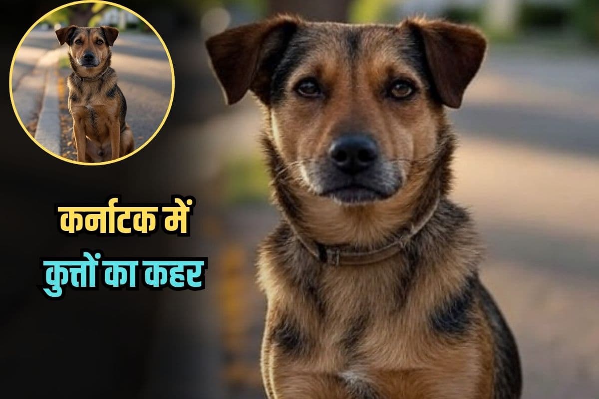 Dog Bite: कर्नाटक में कुत्तों का कहर, 6 महीने में 2.3 लाख लोगों को काटा, 19 की मौत