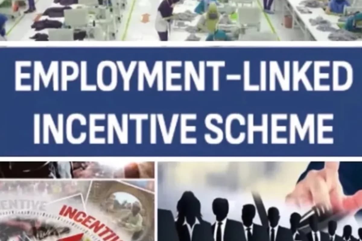 ELI Scheme: पहली बार नौकरी करने वालों के लिए खुशखबरी, मिलेंगे कैश इनसेंटिव!