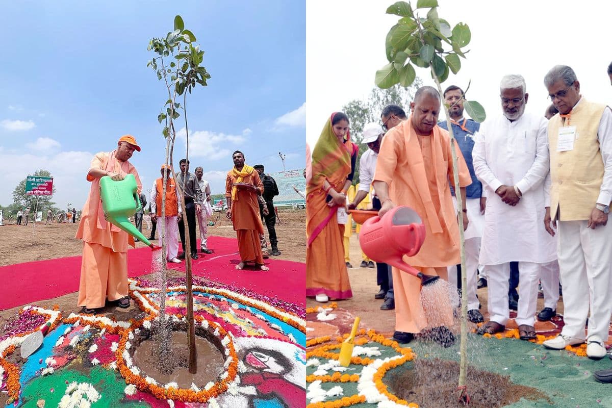 एक पेड़ मां के नाम... यूपी में 37 करोड़ पौधों का महाभियान आज से शुरू