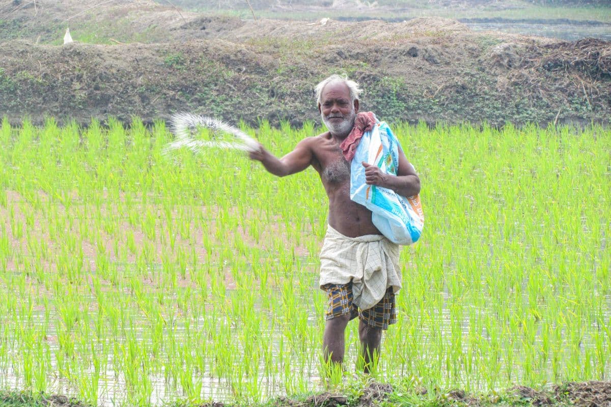 किसानों के लिए अलर्ट, 31 जुलाई के बाद नहीं मिलेगा फसल बीमा का लाभ