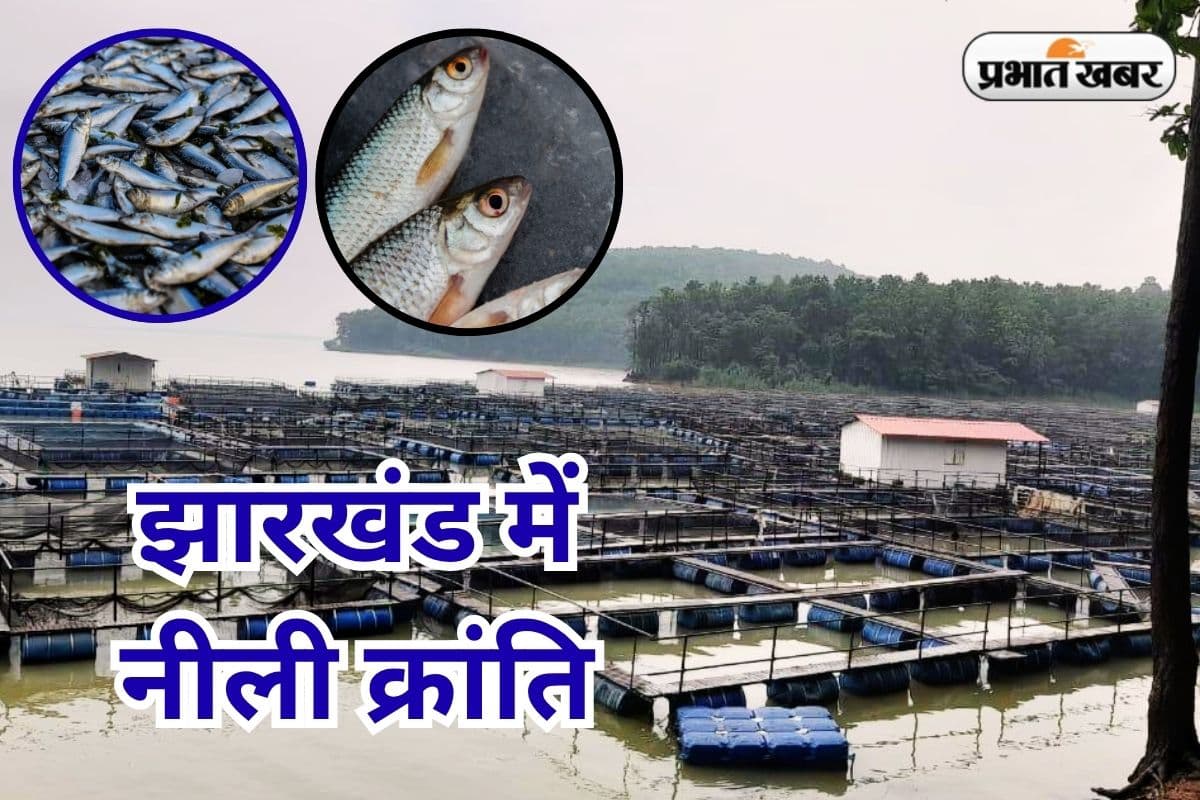 PHOTOS: मत्स्य के क्षेत्र में आत्मनिर्भर बनेगा झारखंड, 4.10 लाख मीट्रिक टन मछली उत्पादन का लक्ष्य
