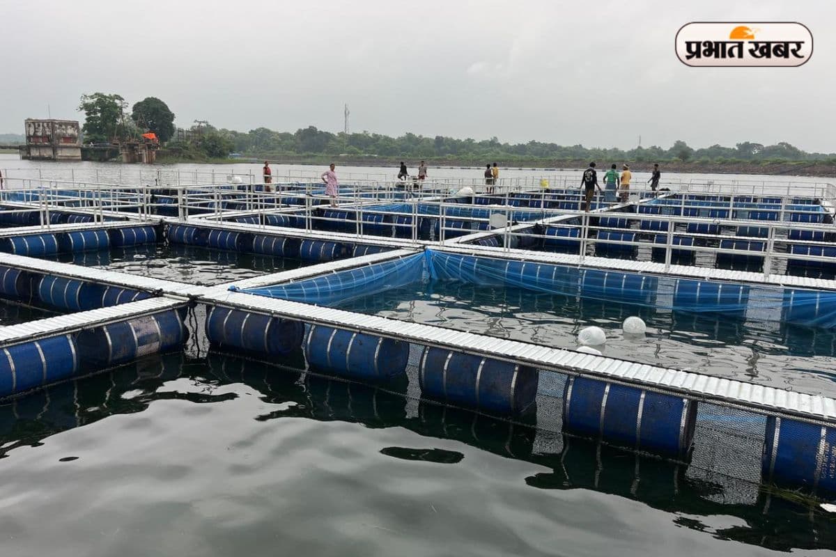 सीतारामपुर जलाशय में पहली बार शुरू हुई केज पद्धति से मछली पालन