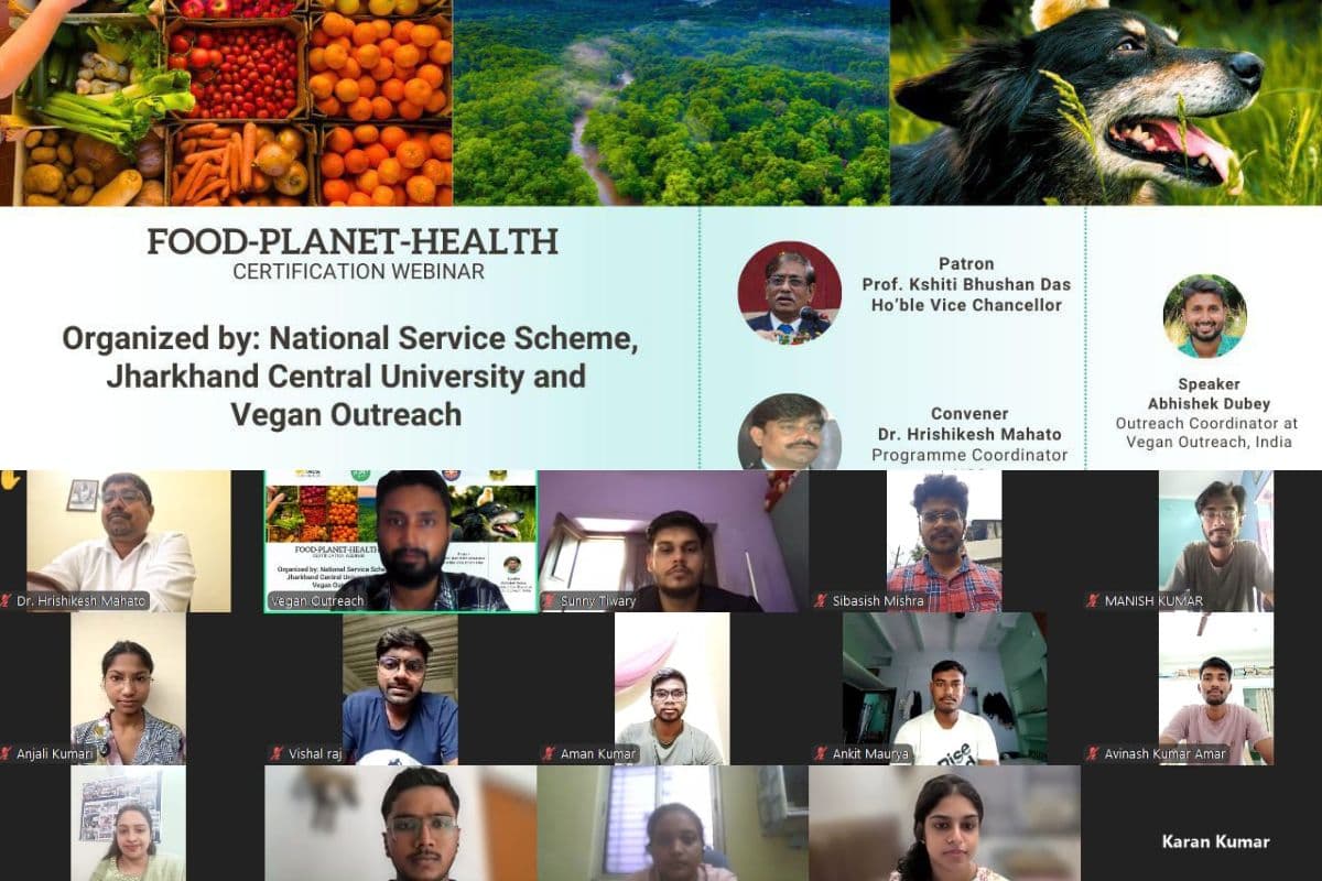 Food Planet Health Webinar