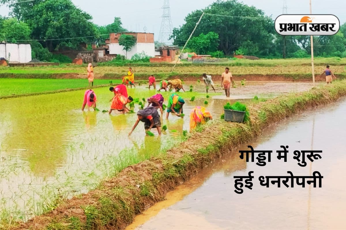 Godda Weather Today Rain Farming
