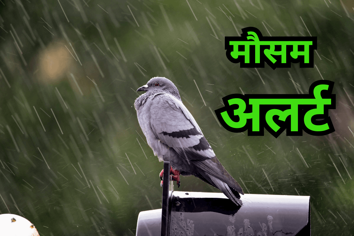 Very Heavy Rain Warning: 20,21,22,23,24,25 जुलाई तक इन राज्यों में बारिश की संभावना, IMD अलर्ट