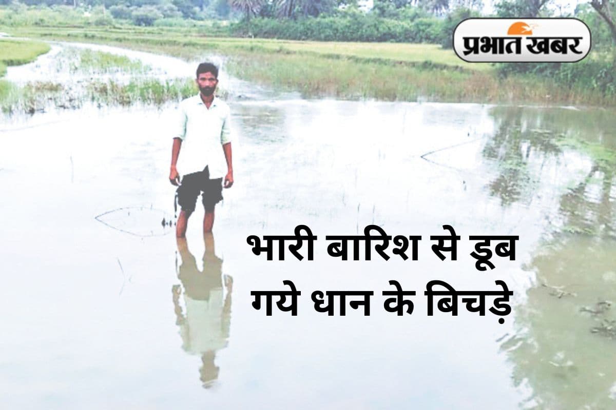 लगातार बारिश ने तोड़ी किसानों की कमर, धान का बिचड़ा और सब्जियां बर्बाद