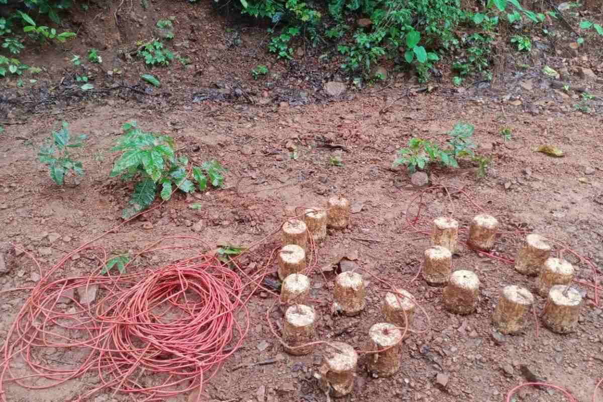 IED Bombs seized in west singhbhum IED Bombs seized in west singhbhum
