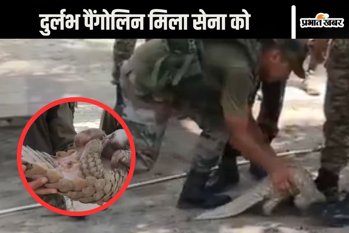 Video : LOC के पास मिला दुर्लभ जीव, सेना तुरंत हुई एक्टिव