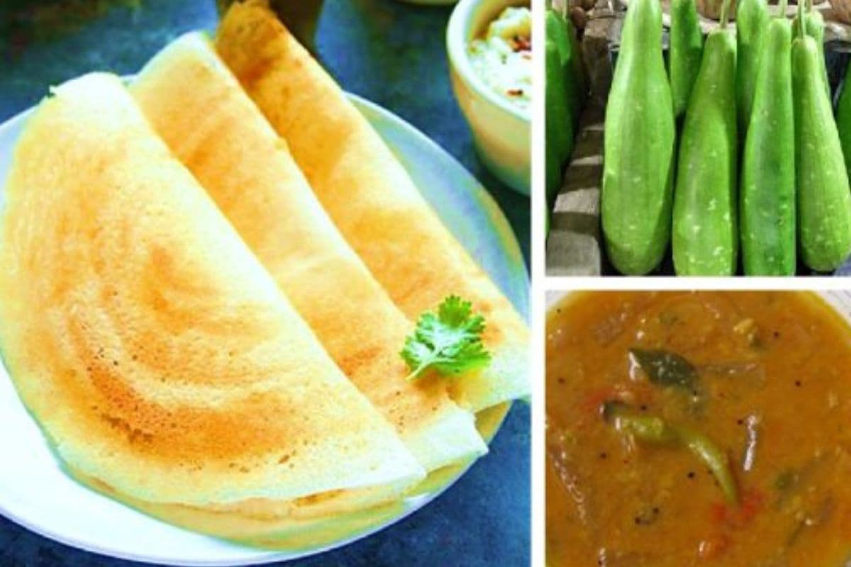 Instant Lauki ka Dosa Recipe:बिना झंझट, बिना इंतजार 10 मिनट में बनाएं क्रिस्पी इंस्टेंट लौकी डोसा