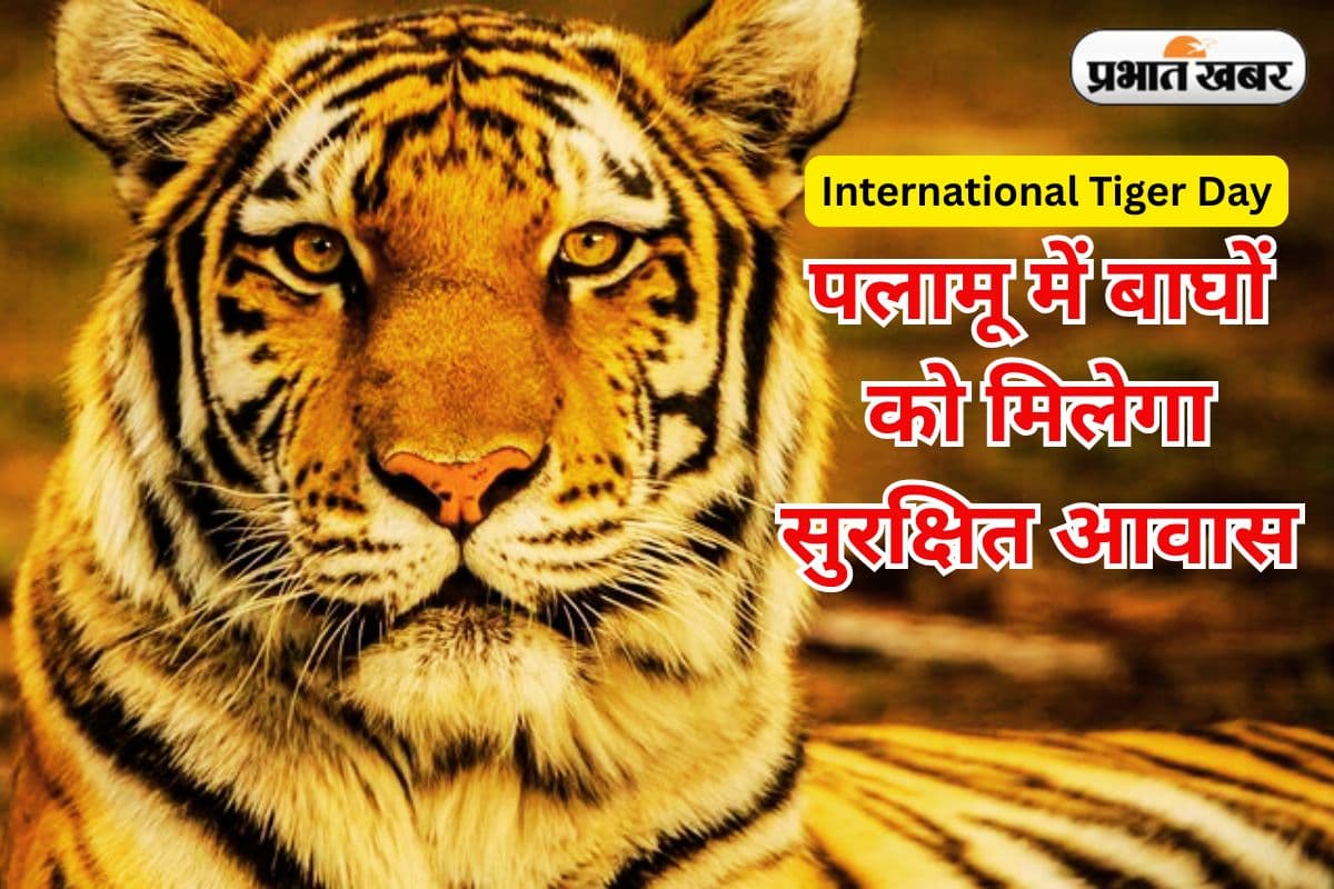 International Tiger Day Palamu Tiger Reserve