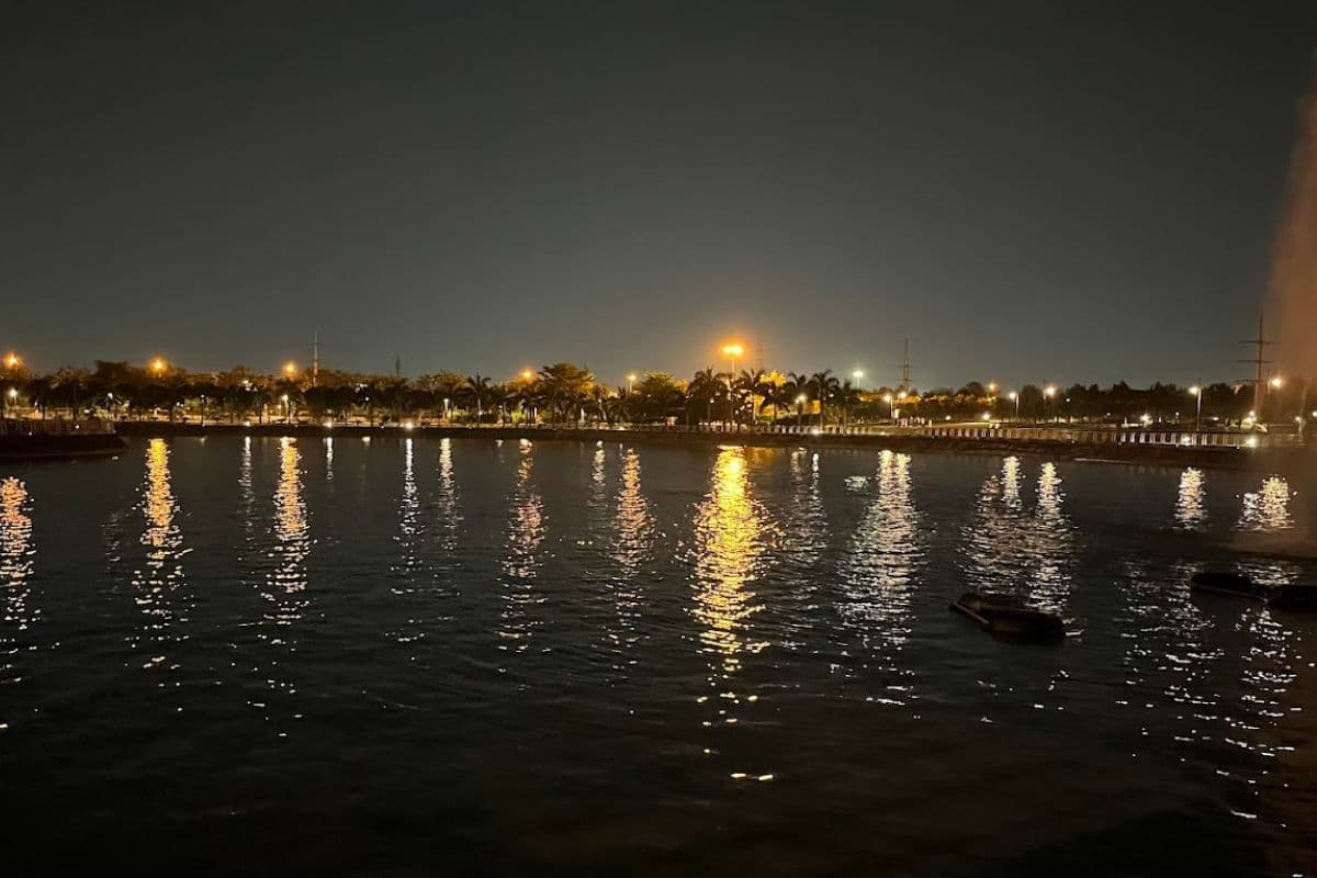 Janeshwar Mishra Park