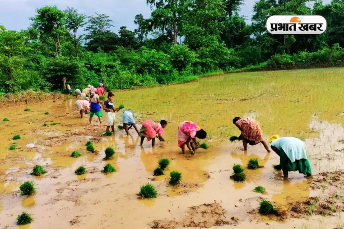 Jharkhand Weather: जमशेदपुर और रांची में 47 दिन में एक साल की बारिश का कोटा पूरा, जानें आगे कैसा रहेगा मौसम