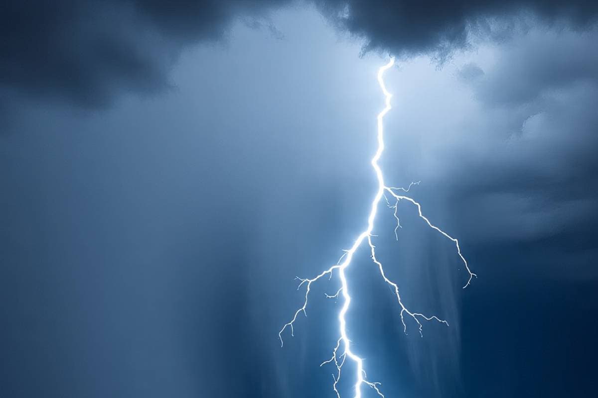 Lightning Alert : आकाशीय बिजली गिरने से हर साल 32 करोड़ पेड़ हो जाते हैं नष्ट