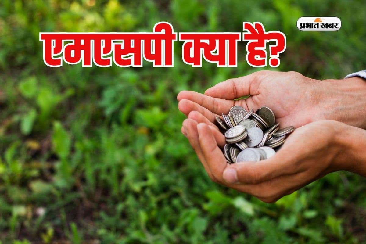 आधा भारत नहीं जानता क्या है एमएसपी, जान जाएगा तो हर किसानों के खातों में होंगे लाखों रुपये