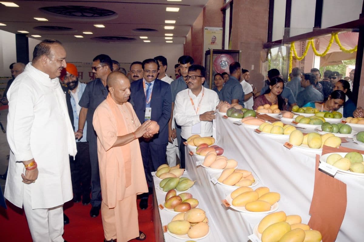सीएम योगी आज करेंगे 'आम महोत्सव' का उद्घाटन, लंदन-दुबई भेजी जाएगी प्रदेश की मिठास