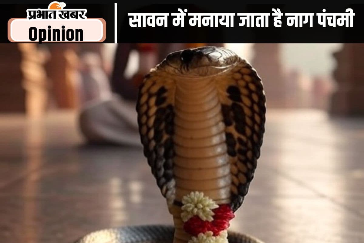 नाग पंचमी विशेष : सांपों का बचना धरती के अस्तित्व के लिए जरूरी